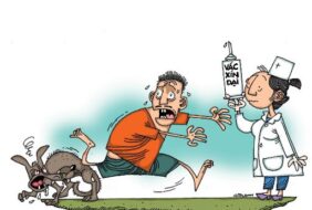 BỆNH DẠI NGUY HIỂM RA SAO? BỆNH DẠI CHỈ CÓ THỂ PHÒNG BẰNG TIÊM NGỪA