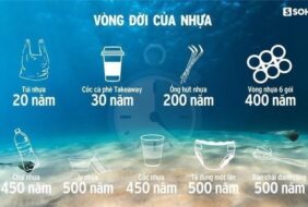 Nhựa là tác nhân gây ảnh hưởng nghiêm trọng đến biến đổi khí hậu