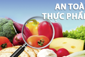 Thông điệp bảo đảm an toàn thực phẩm, “Tháng hành động vì an toàn thực phẩm” năm 2025