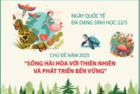 Hưởng ứng Ngày Quốc tế đa dạng sinh học năm 2025