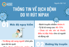 Thông tin về dịch bệnh do vi rút Nipah